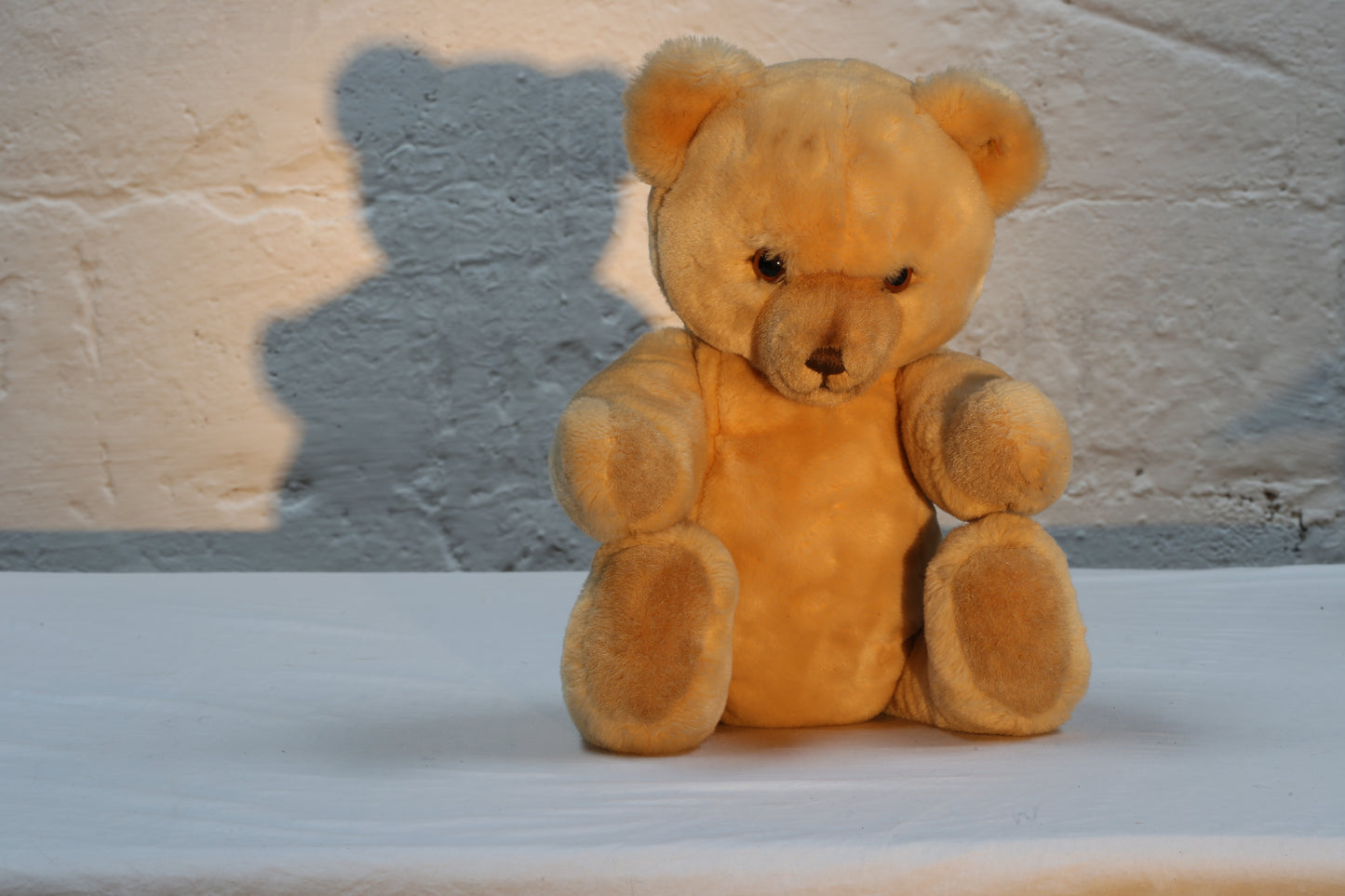 Steiff "Petsy" Teddy Bear