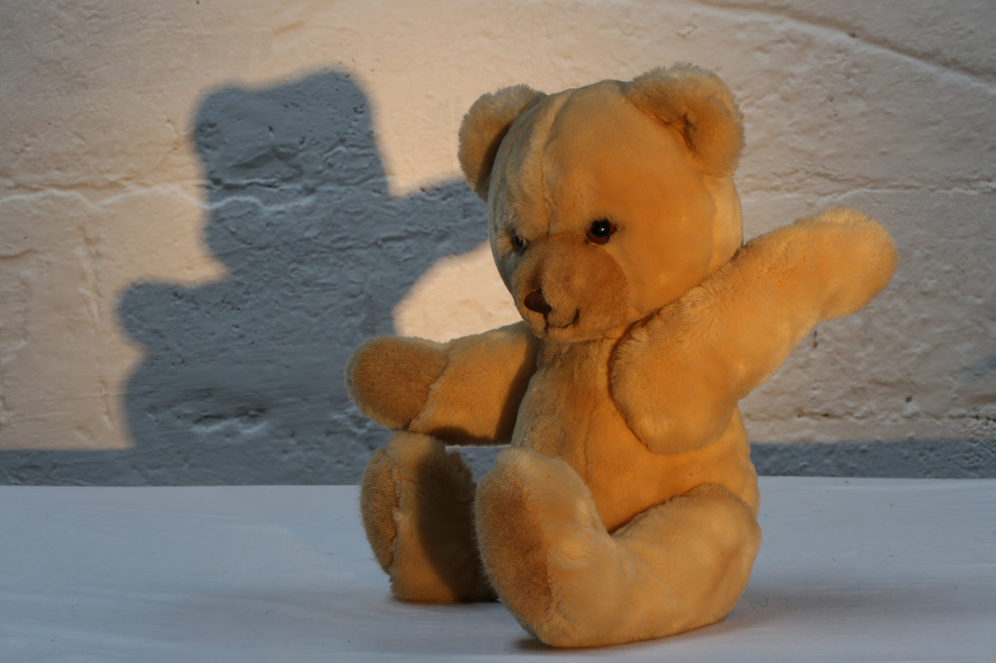 Steiff "Petsy" Teddy Bear