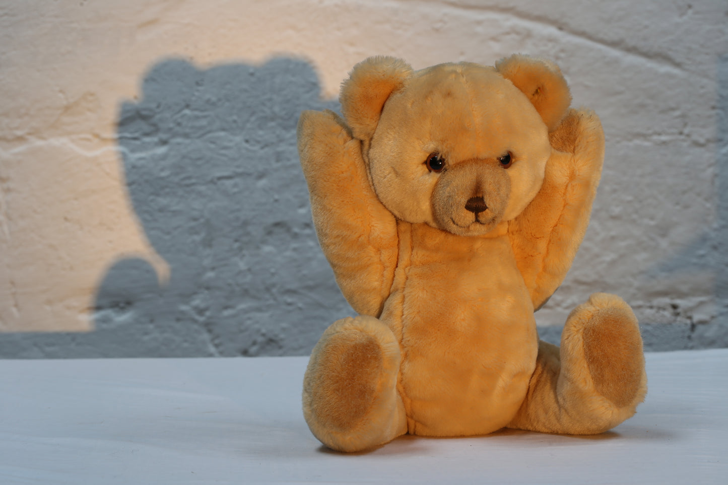 Steiff "Petsy" Teddy Bear